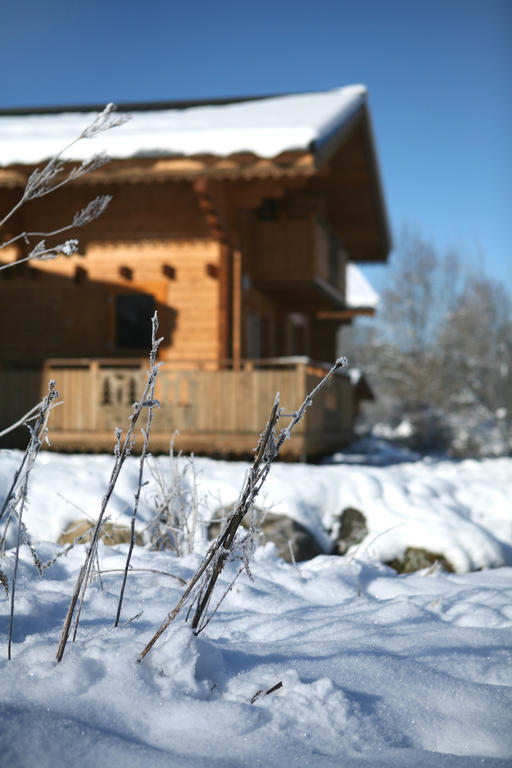 Residence Nemea Les Chalets Du Bois De Champelle Morillon Exterior foto